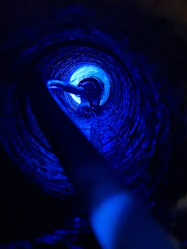blue drain