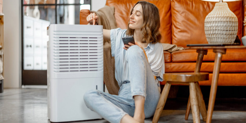 Whole Home Humidifier