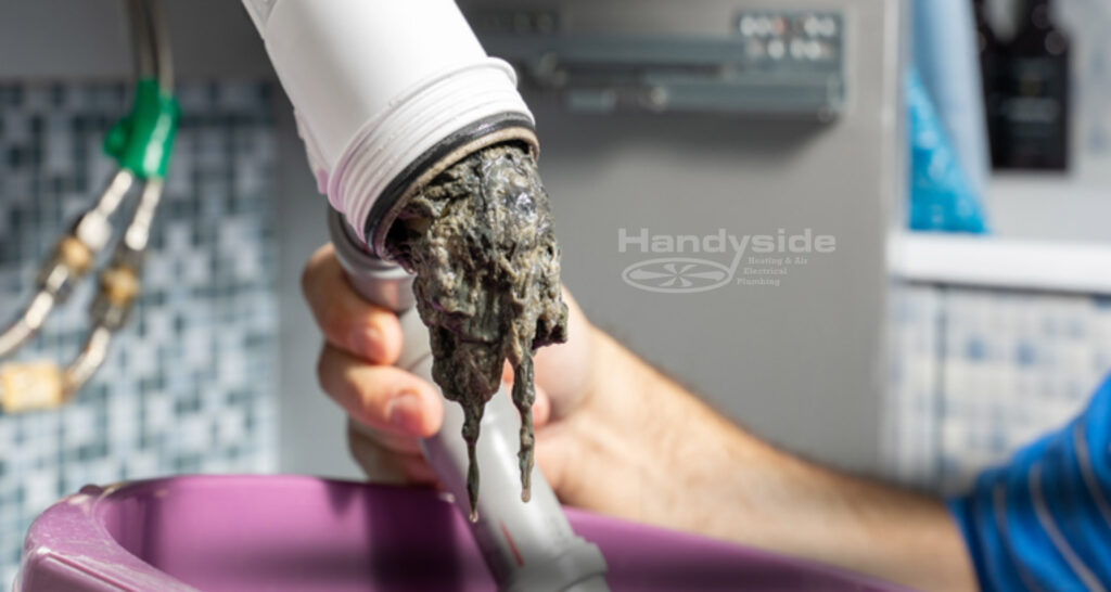 What You Should Know About Drain Backups